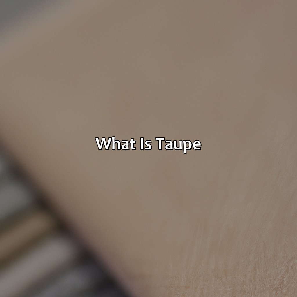 What Is Taupe?  - What Is The Color Taupe, 