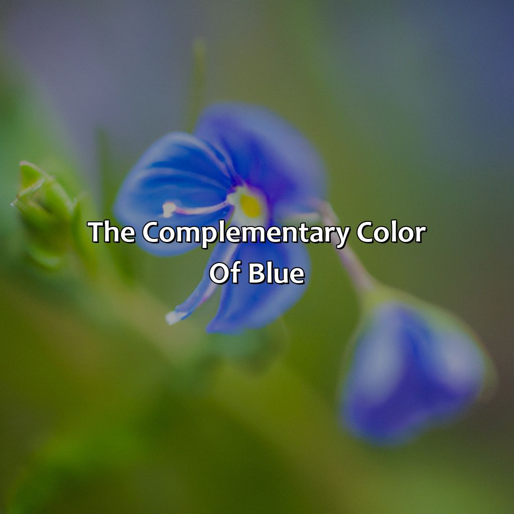 The Complementary Color Of Blue  - What Is The Complementary Color Of Blue, 