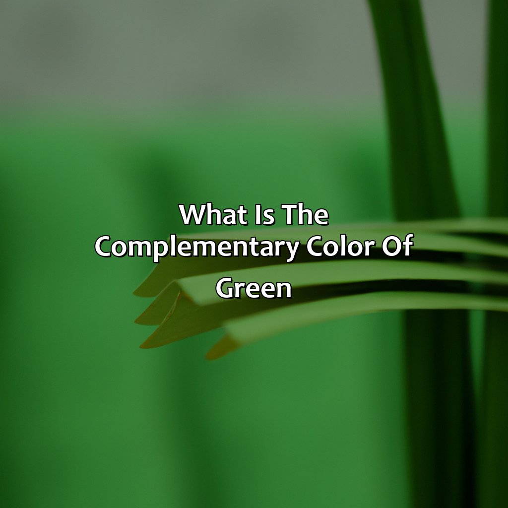 What Is The Complementary Color Of Green - colorscombo.com