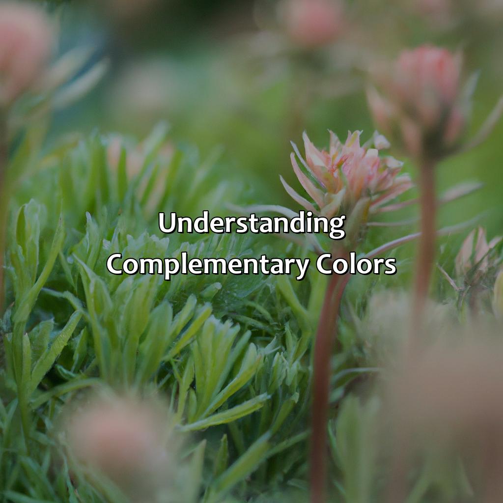 Understanding Complementary Colors  - What Is The Complementary Color Of Pink, 