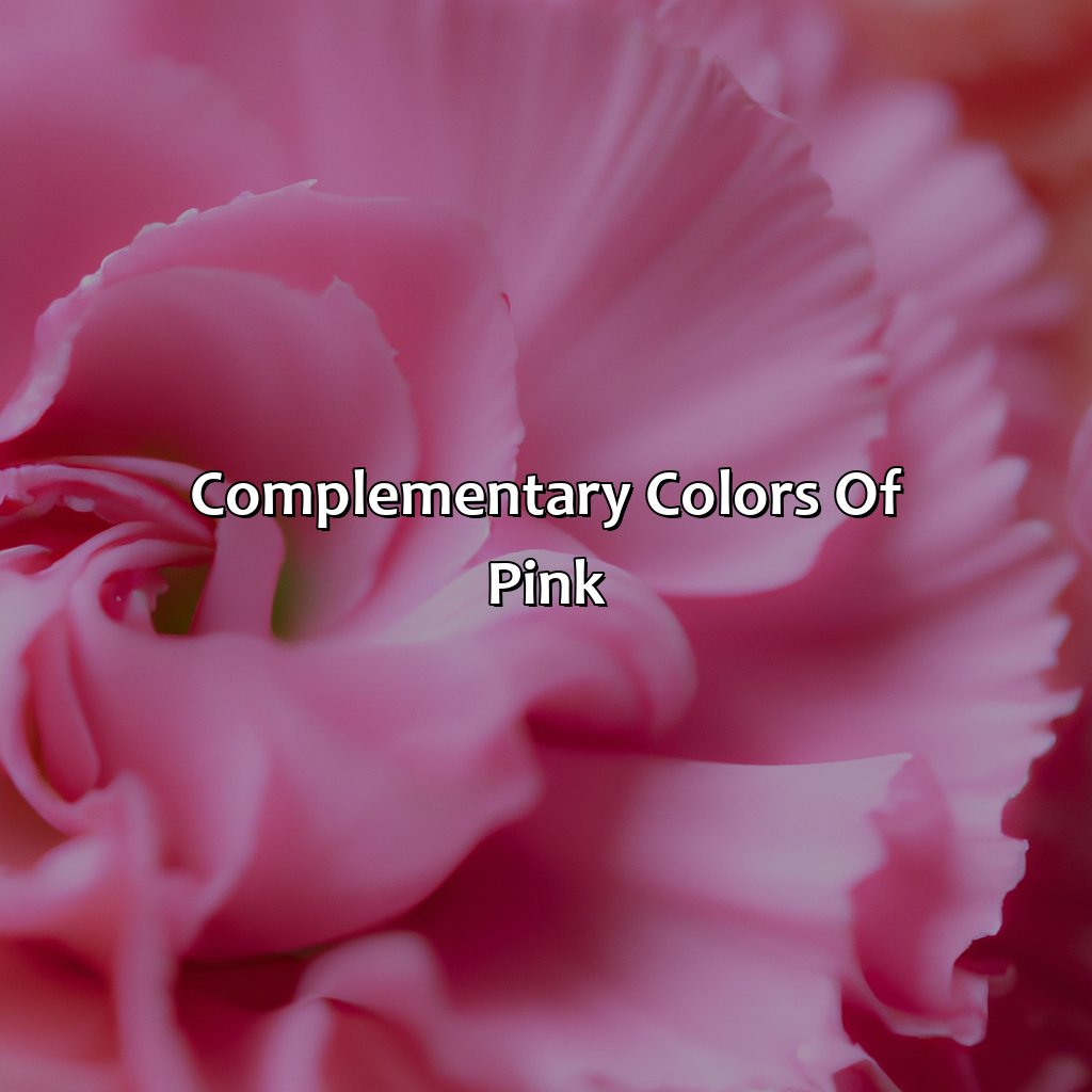 Complementary Colors Of Pink  - What Is The Complementary Color Of Pink, 