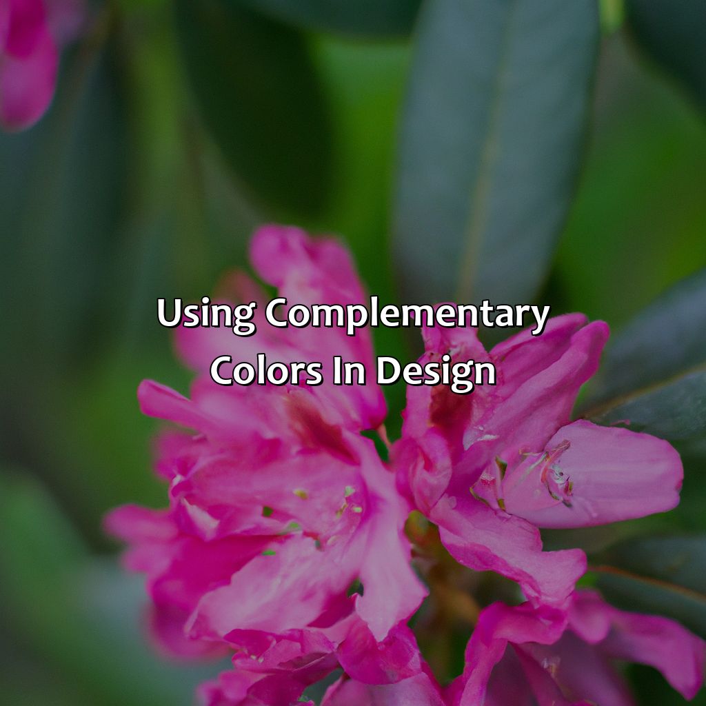 Using Complementary Colors In Design  - What Is The Complementary Color Of Pink, 