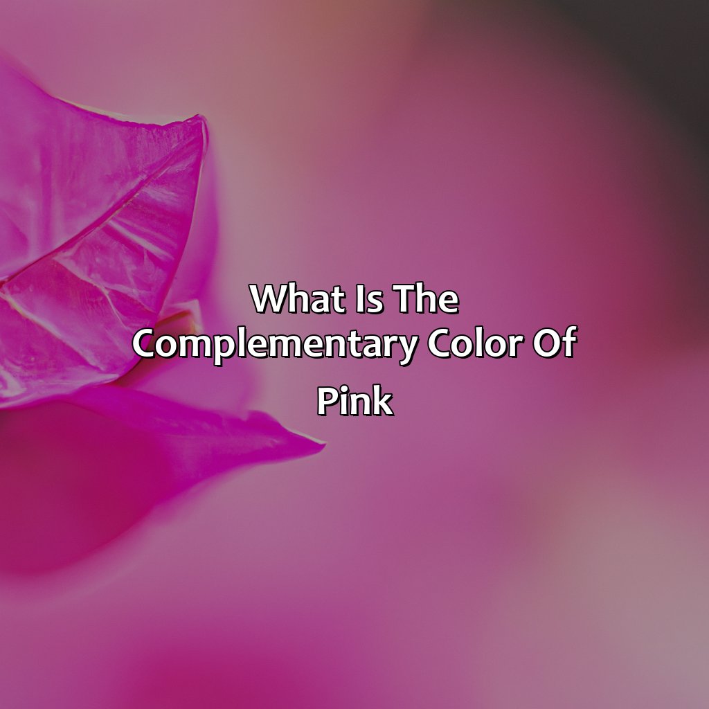 What Is The Complementary Color Of Pink - colorscombo.com
