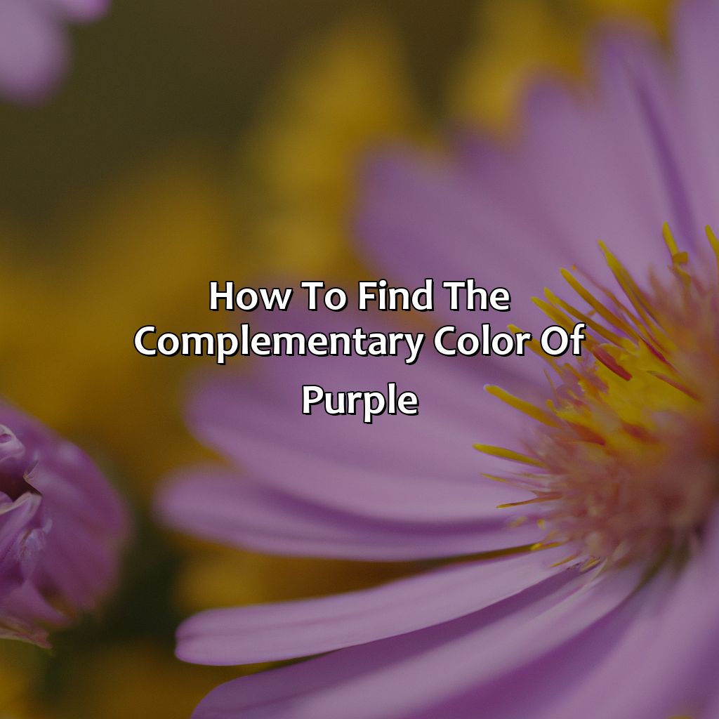 How To Find The Complementary Color Of Purple  - What Is The Complementary Color Of Purple, 