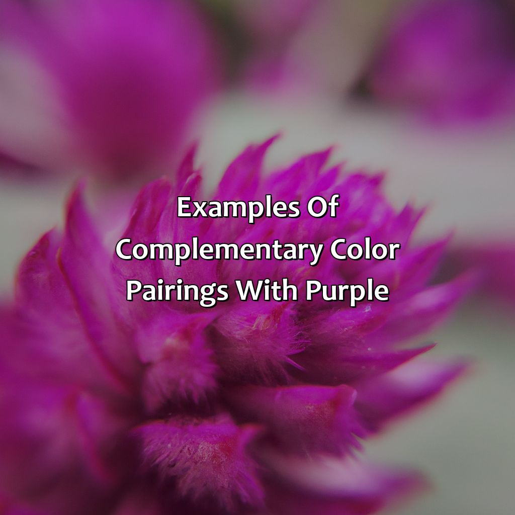 Examples Of Complementary Color Pairings With Purple  - What Is The Complementary Color Of Purple, 