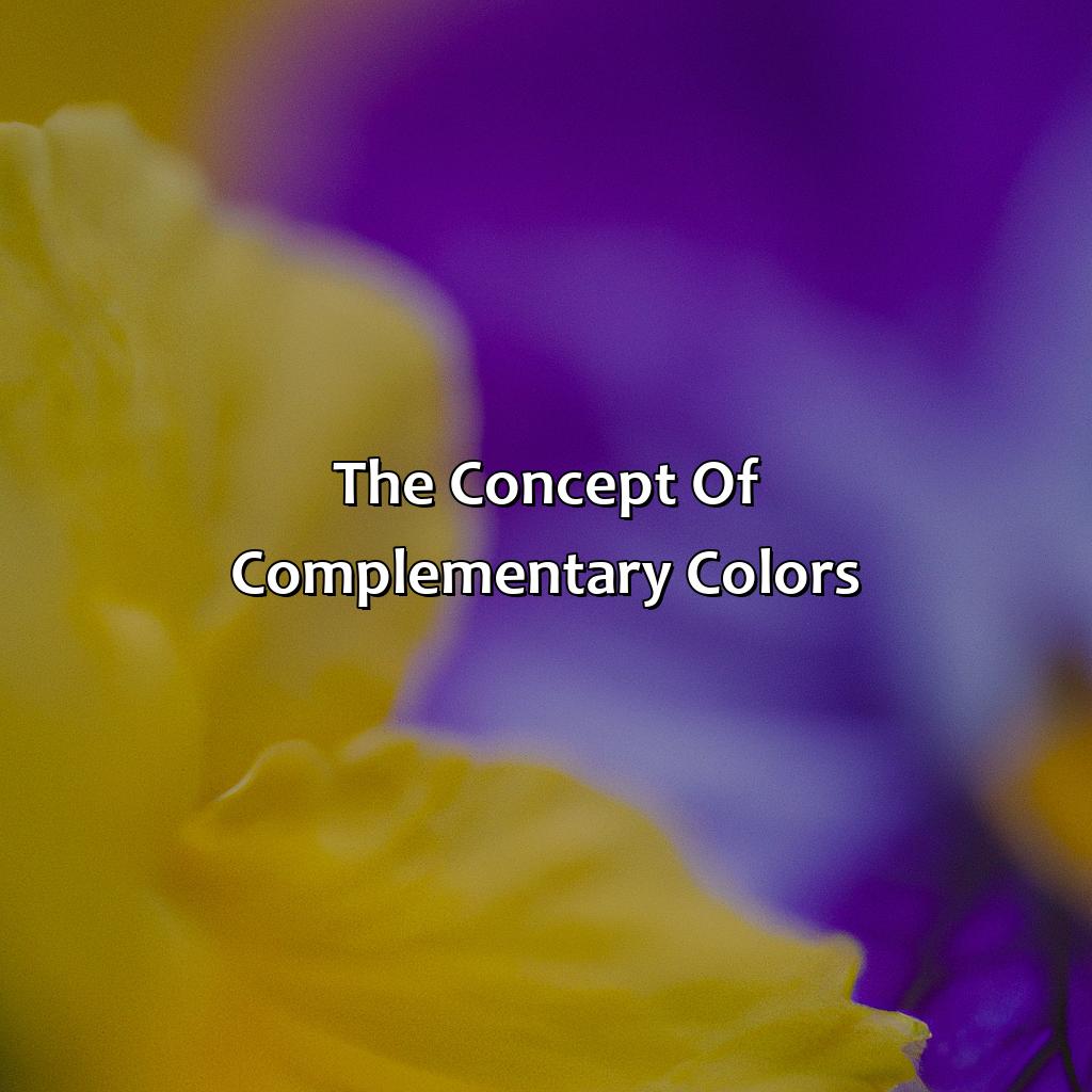 The Concept Of Complementary Colors  - What Is The Complementary Color Of Purple, 