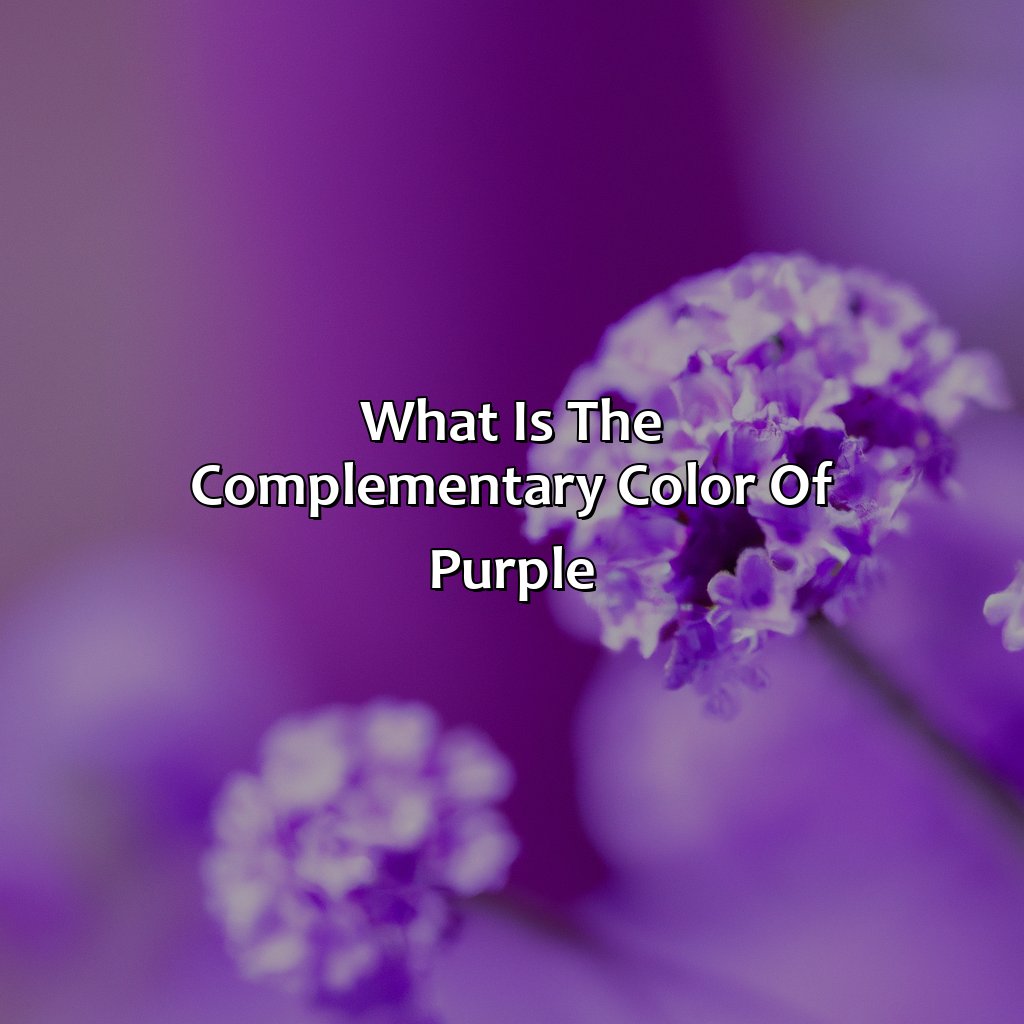 What Is The Complementary Color Of Purple - colorscombo.com