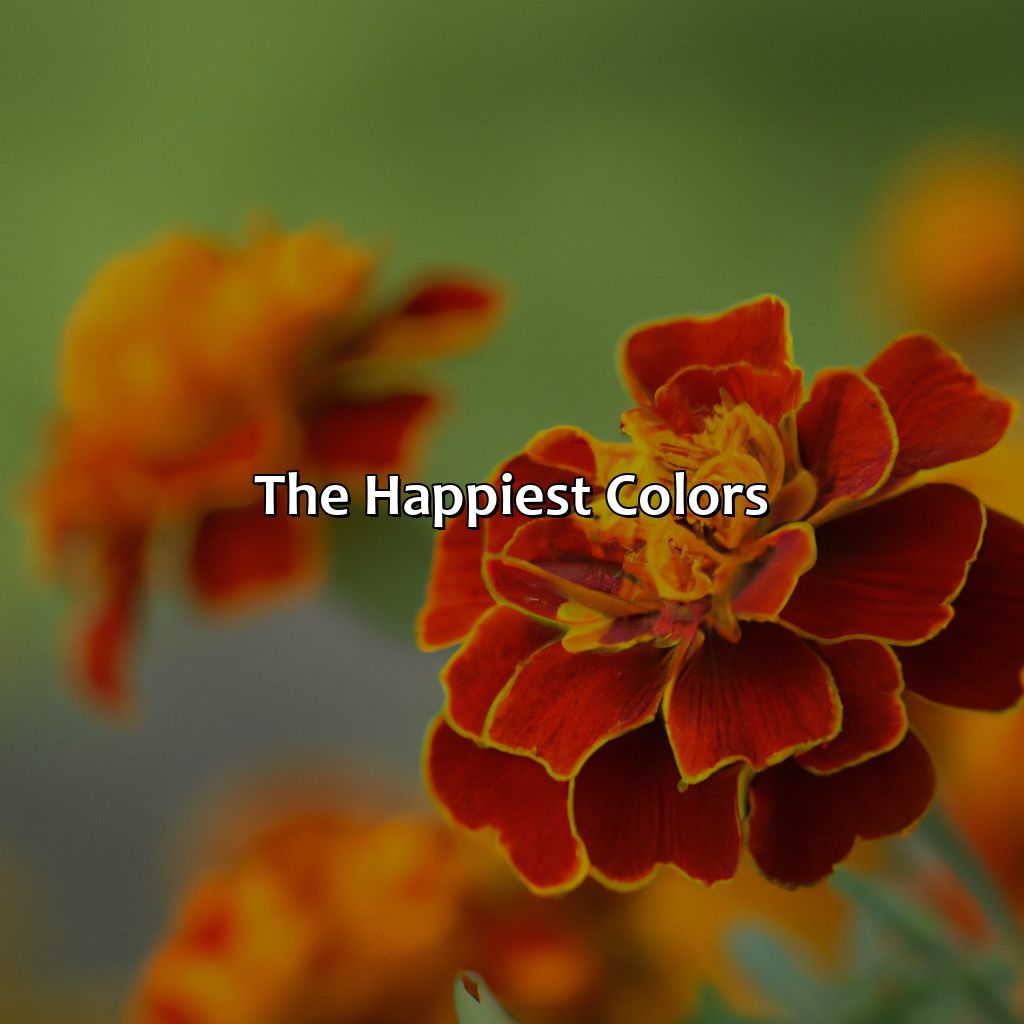 The Happiest Colors  - What Is The Happiest Color, 