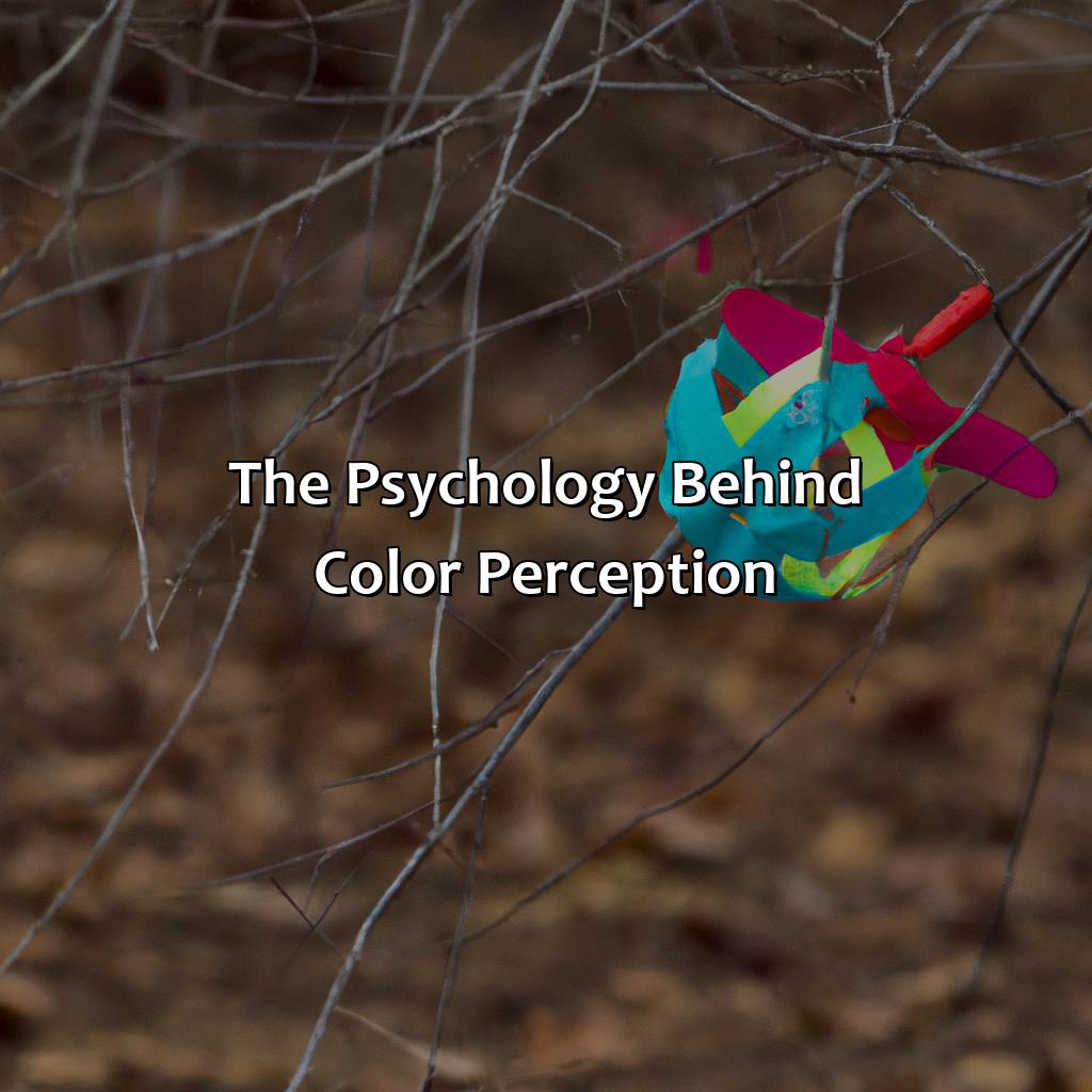 The Psychology Behind Color Perception  - What Is The Most Beautiful Color, 