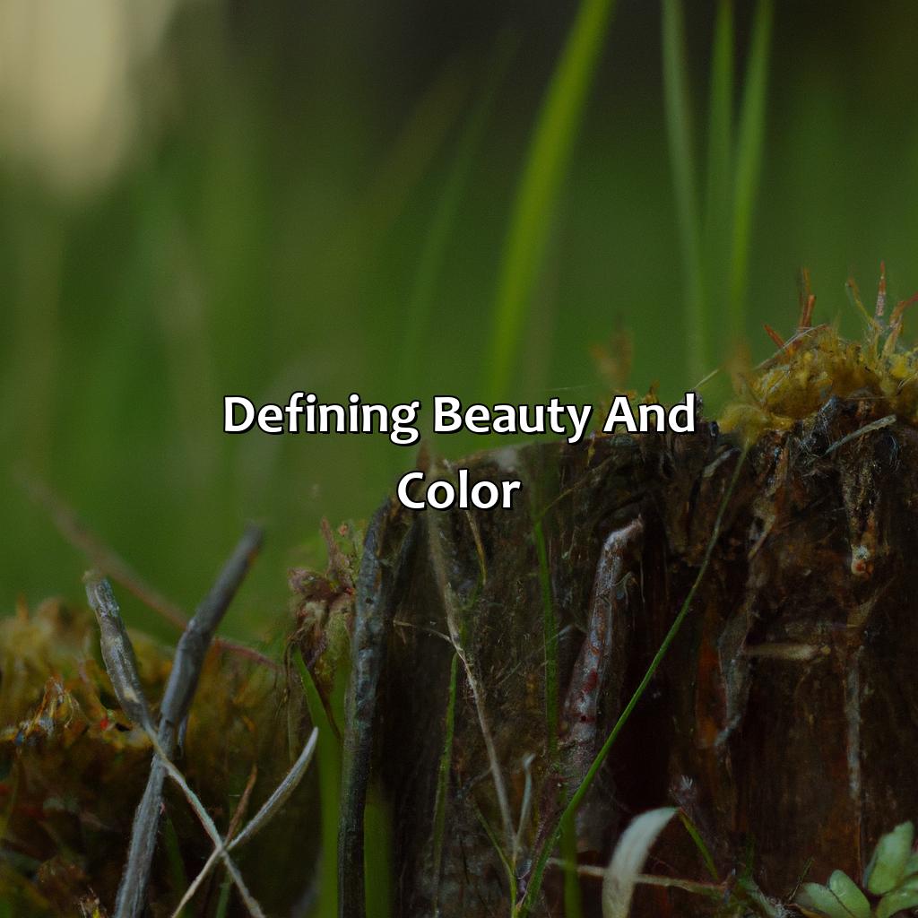 Defining Beauty And Color  - What Is The Most Beautiful Color, 