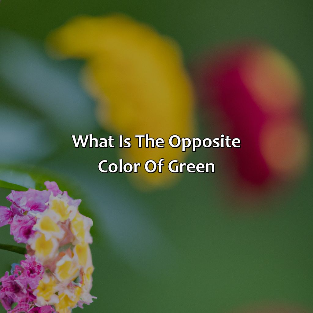 What Is The Opposite Color Of Green?  - What Is The Opposite Color Of Green, 