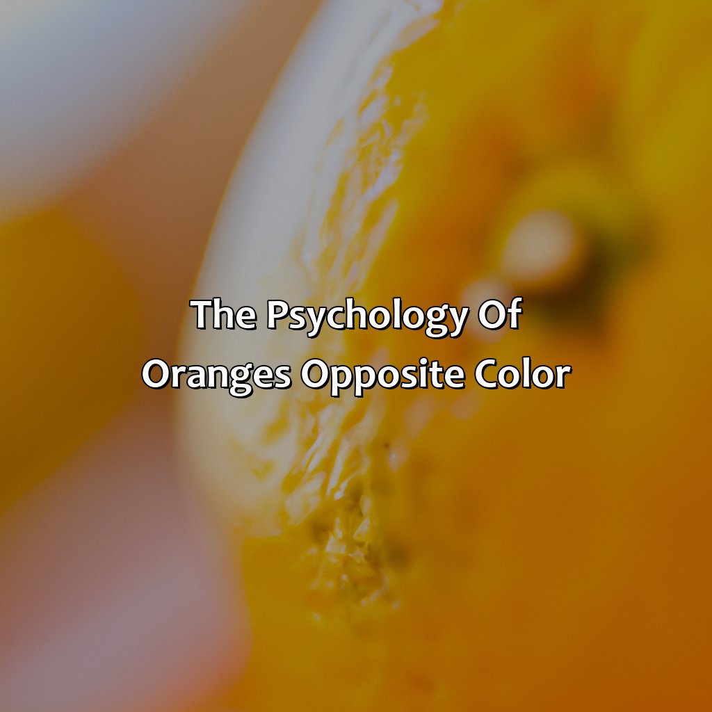 The Psychology Of Orange
