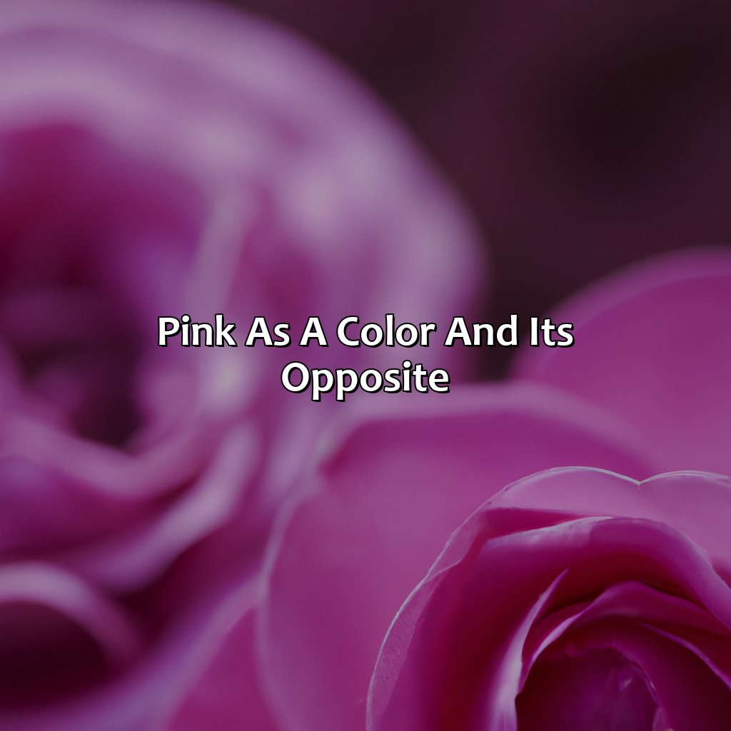 Pink As A Color And Its Opposite  - What Is The Opposite Color Of Pink, 