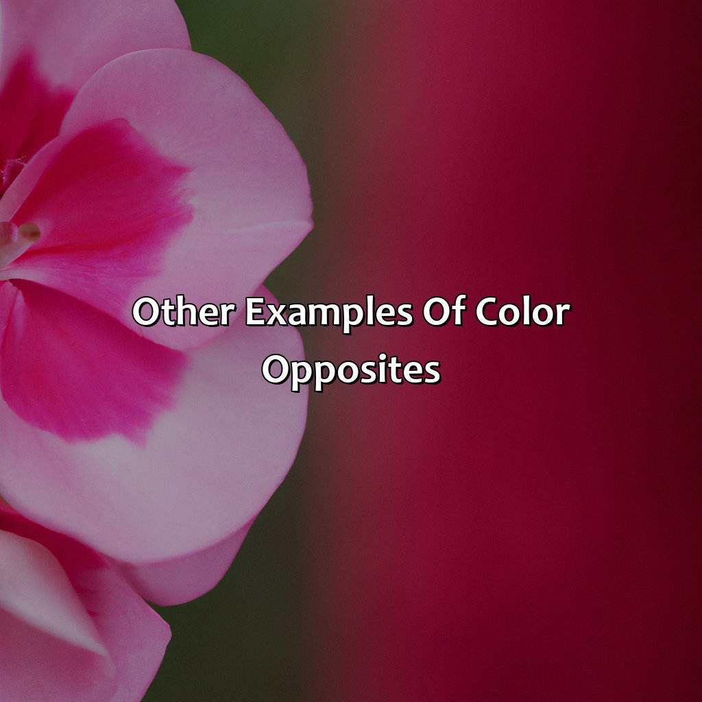Other Examples Of Color Opposites  - What Is The Opposite Color Of Pink, 