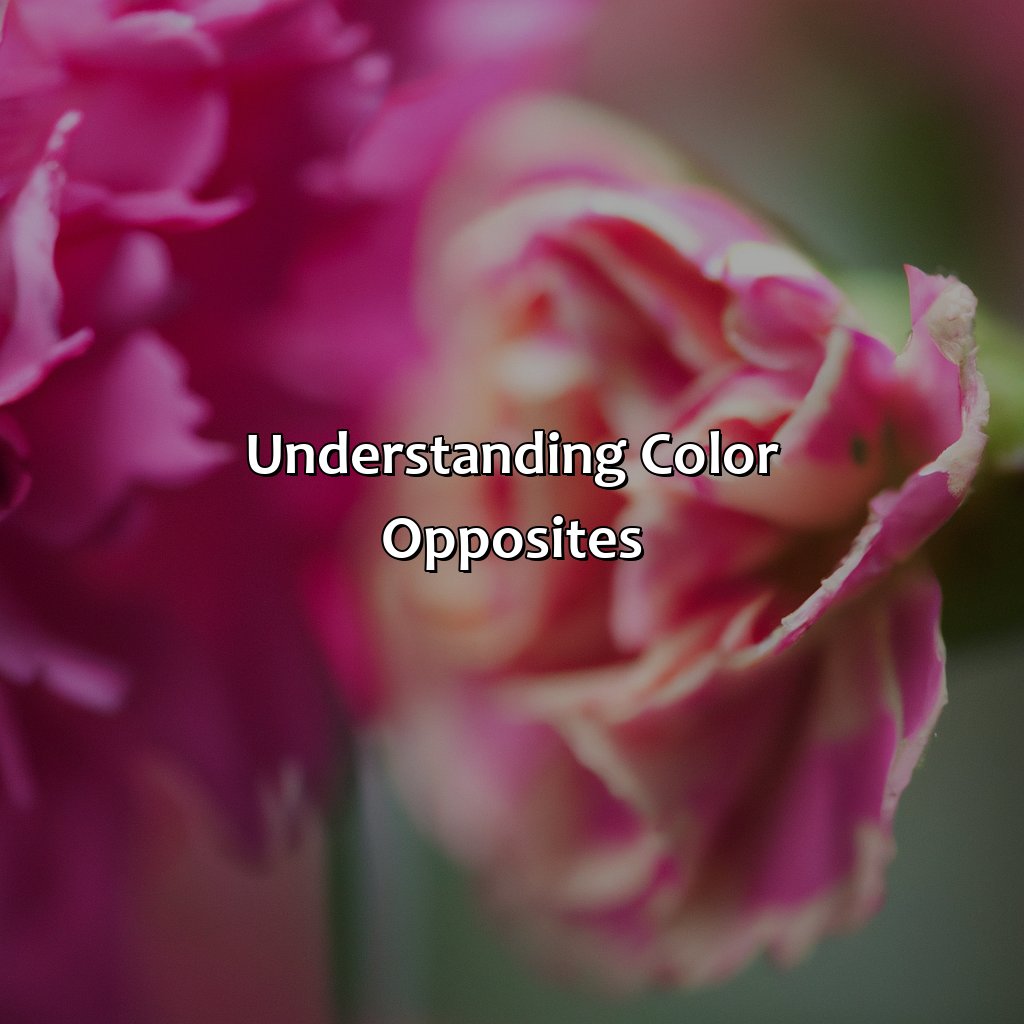 Understanding Color Opposites  - What Is The Opposite Color Of Pink, 