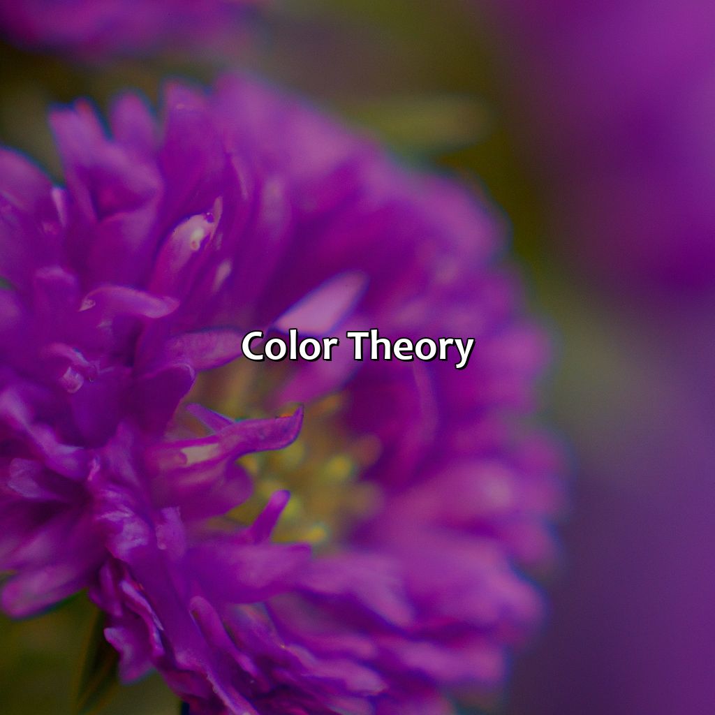 Color Theory  - What Is The Opposite Color Of Purple, 