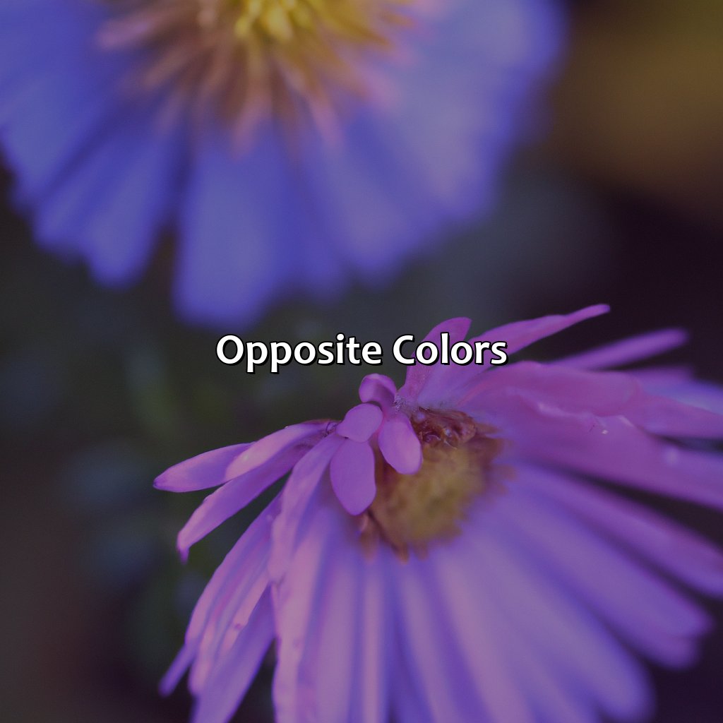 Opposite Colors  - What Is The Opposite Color Of Purple, 