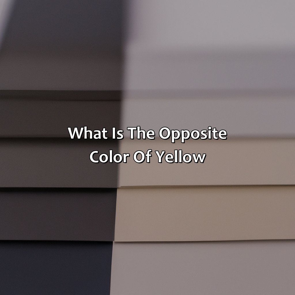 What Is The Opposite Color Of Yellow?  - What Is The Opposite Color Of Yellow, 