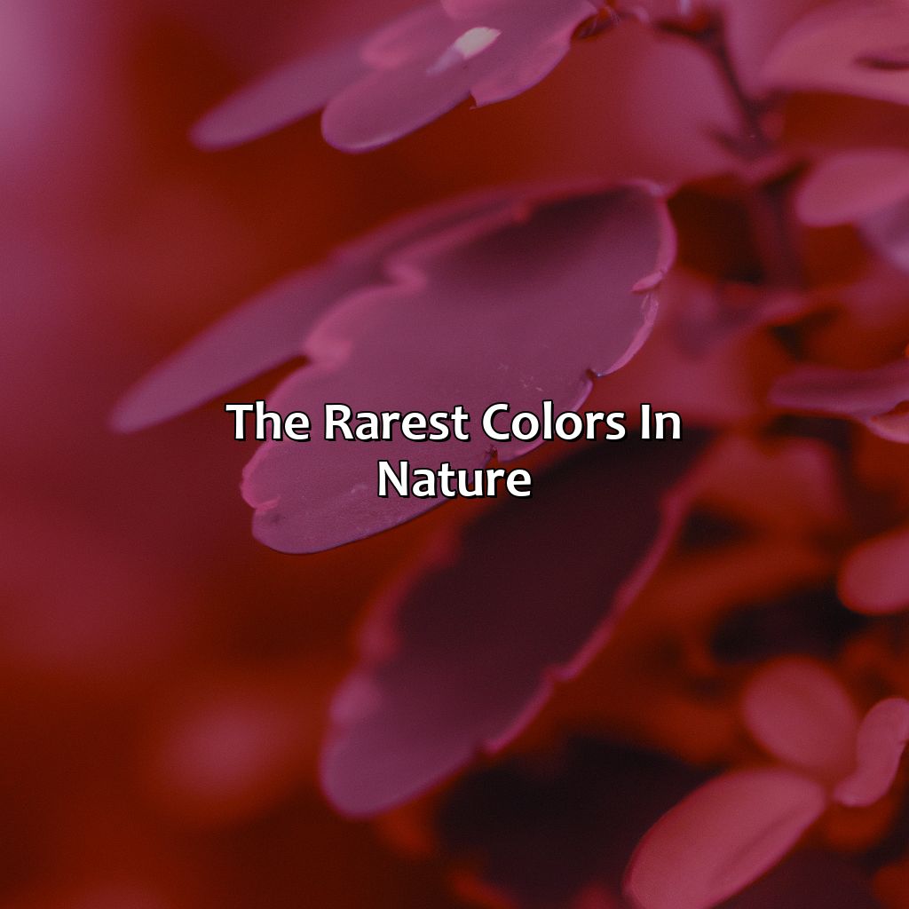 The Rarest Colors In Nature  - What Is The Rarest Color, 