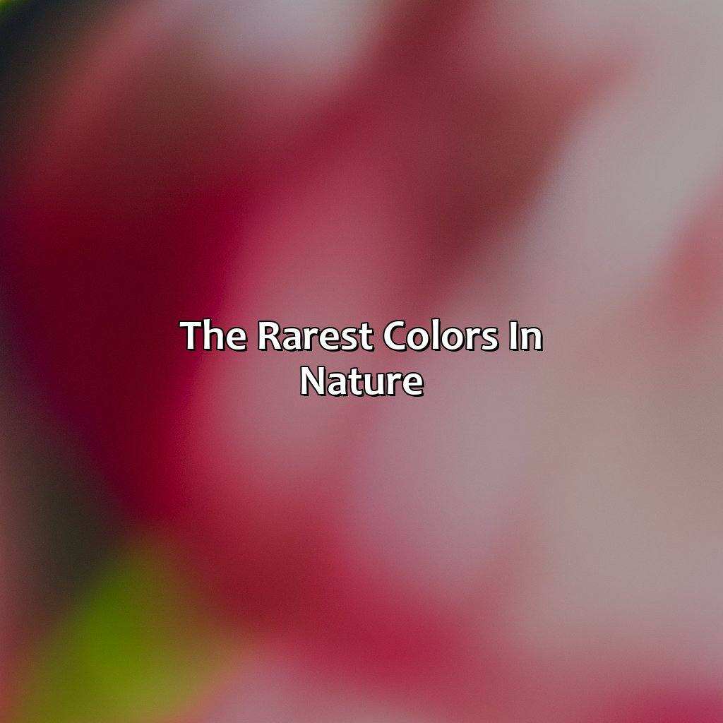The Rarest Colors In Nature  - What Is The Rarest Color In Nature, 