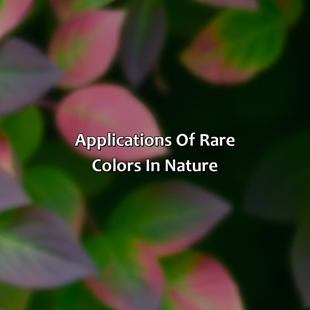 Applications Of Rare Colors In Nature  - What Is The Rarest Color In Nature, 