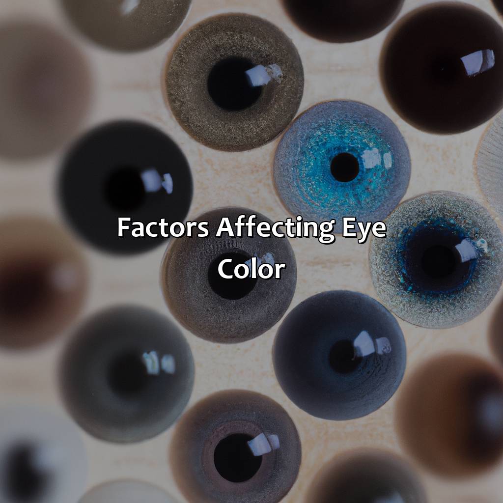 Factors Affecting Eye Color  - What Is The Rarest Eye Color, 