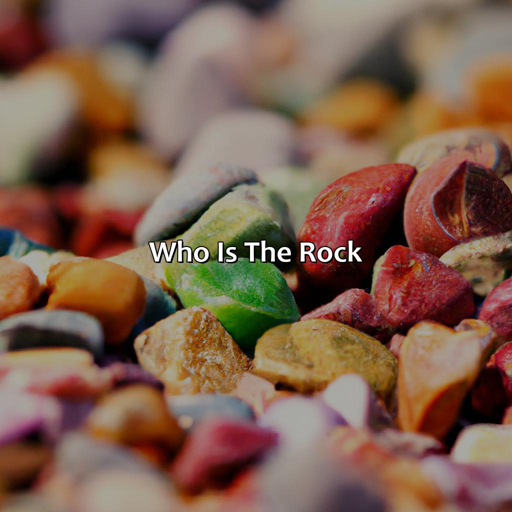 Who Is The Rock  - What Is The Rock