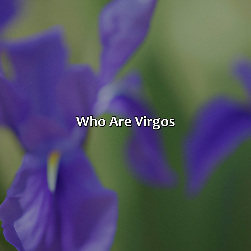 Who Are Virgos?  - What Is Virgo Favorite Color, 