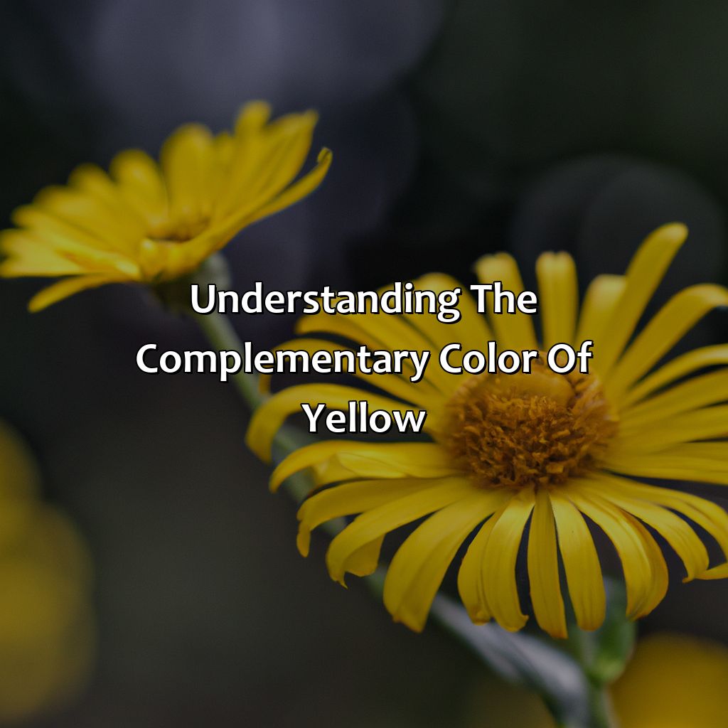 Understanding The Complementary Color Of Yellow  - What Is Yellows Complementary Color, 