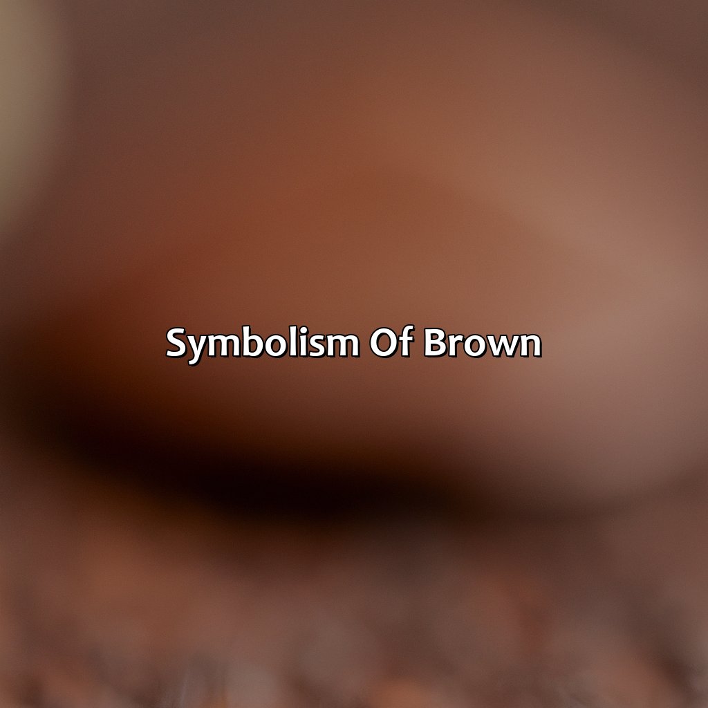 Symbolism Of Brown  - What Makes Brown Color, 