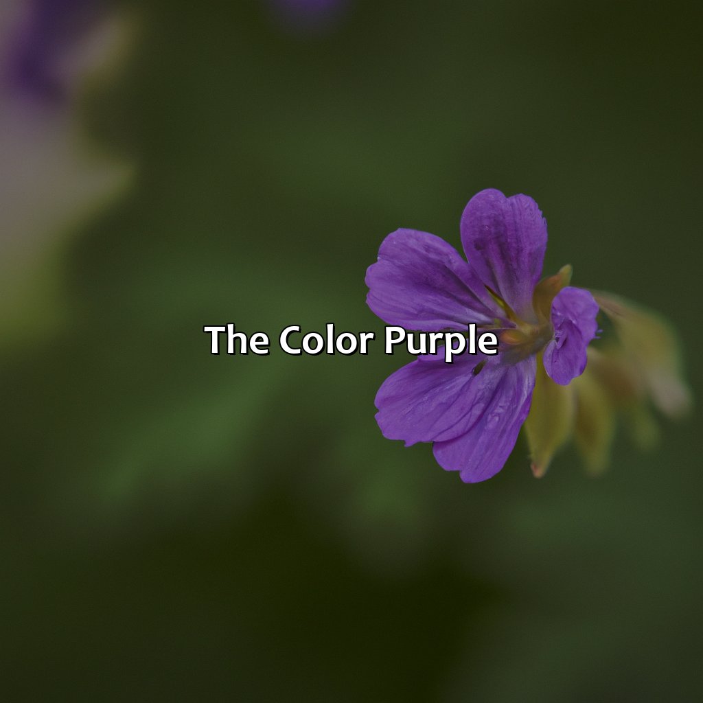 What Makes Purple Color - colorscombo.com