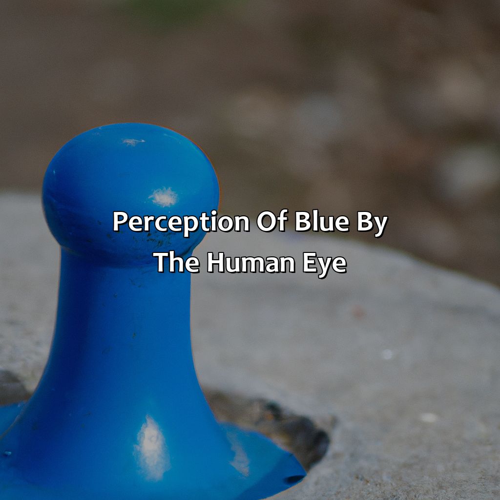 Perception Of Blue By The Human Eye  - What Makes The Color Blue, 