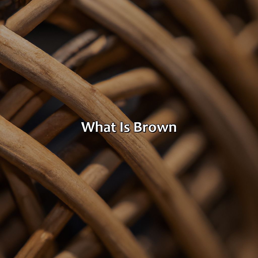 What Is Brown?  - What Makes The Color Brown, 