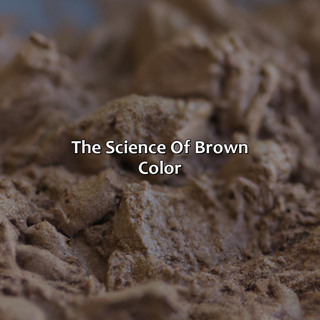 The Science Of Brown Color  - What Makes The Color Brown, 