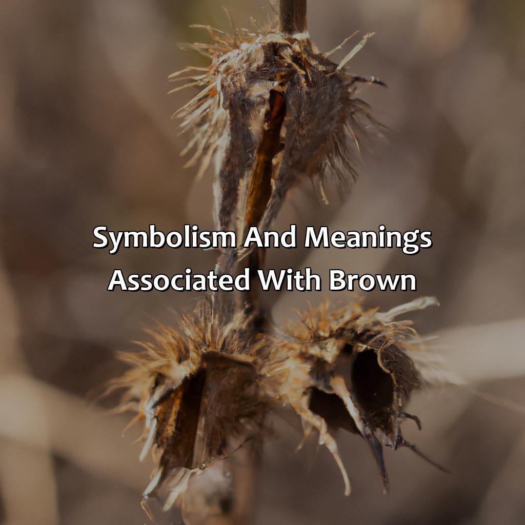 Symbolism And Meanings Associated With Brown  - What Makes The Color Brown, 
