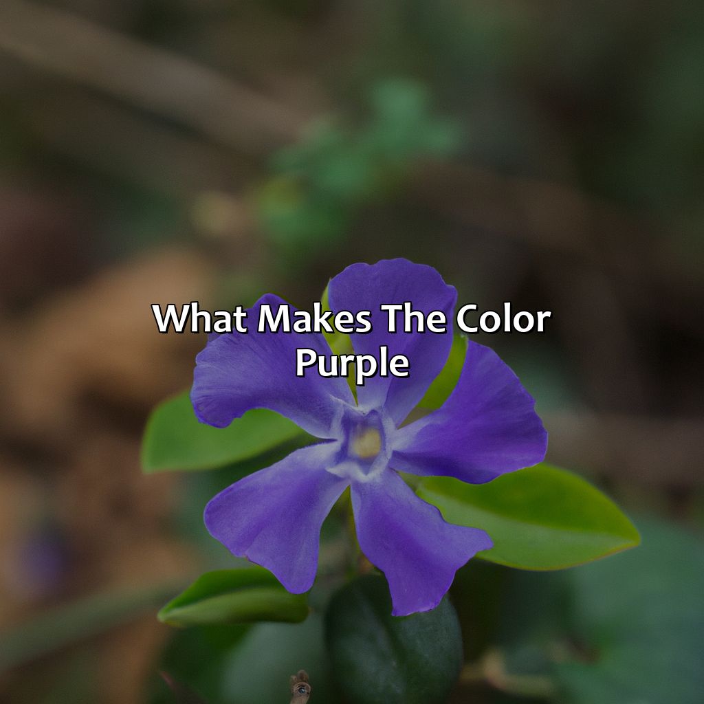 What Makes The Color Purple