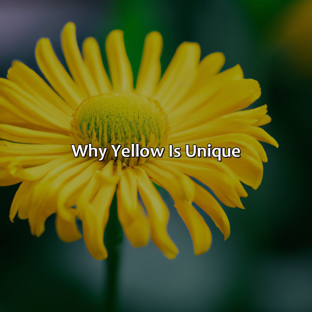 Why Yellow Is Unique  - What Makes The Color Yellow, 