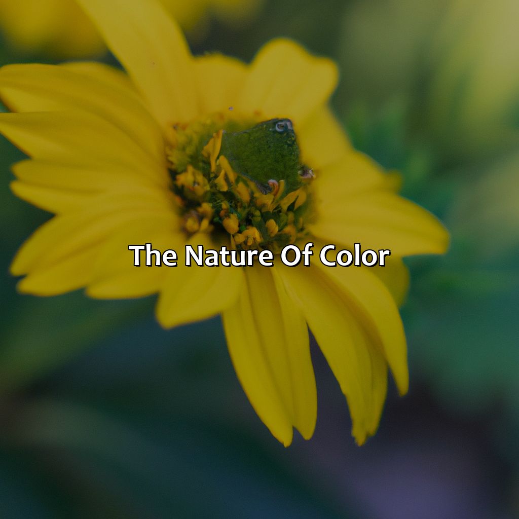 The Nature Of Color  - What Makes The Color Yellow, 