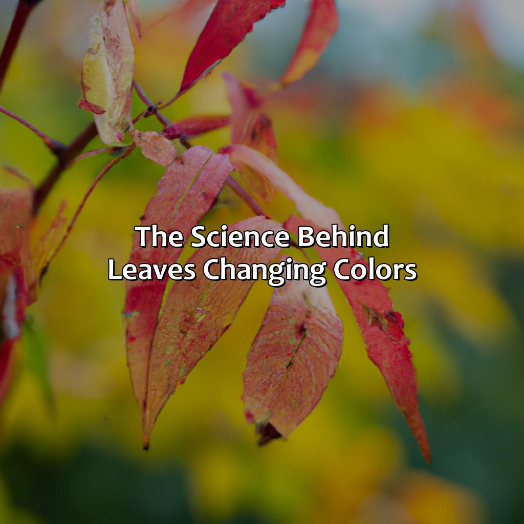 The Science Behind Leaves Changing Colors  - What Makes The Leaves Change Color, 