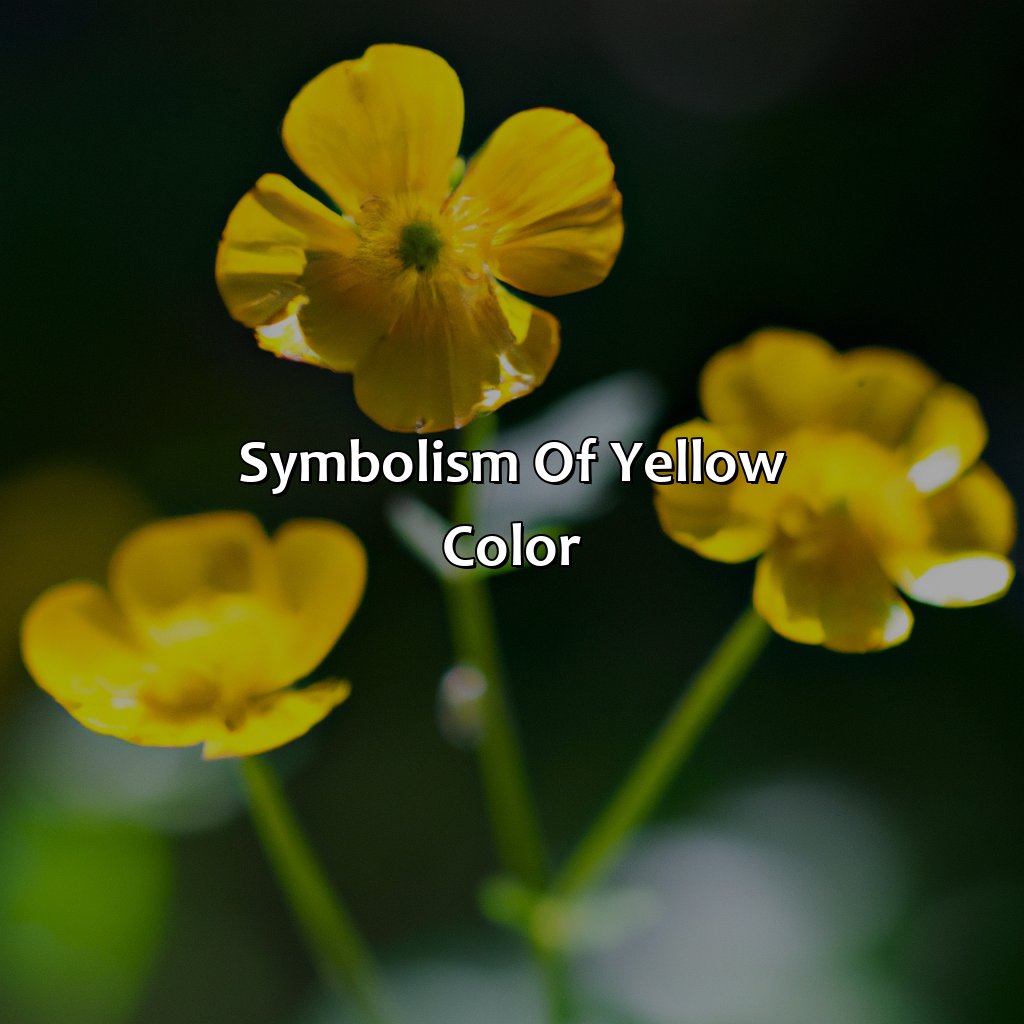 Symbolism Of Yellow Color  - What Makes Yellow Color, 