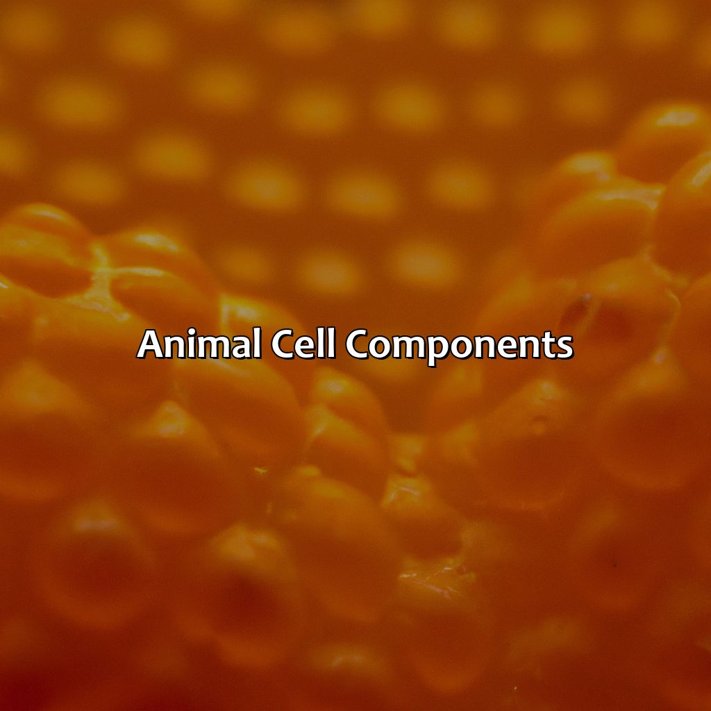 Animal Cell Components  - What Organelle Is Orange In Color And Located On The Outside Of This Animal Cell?, 