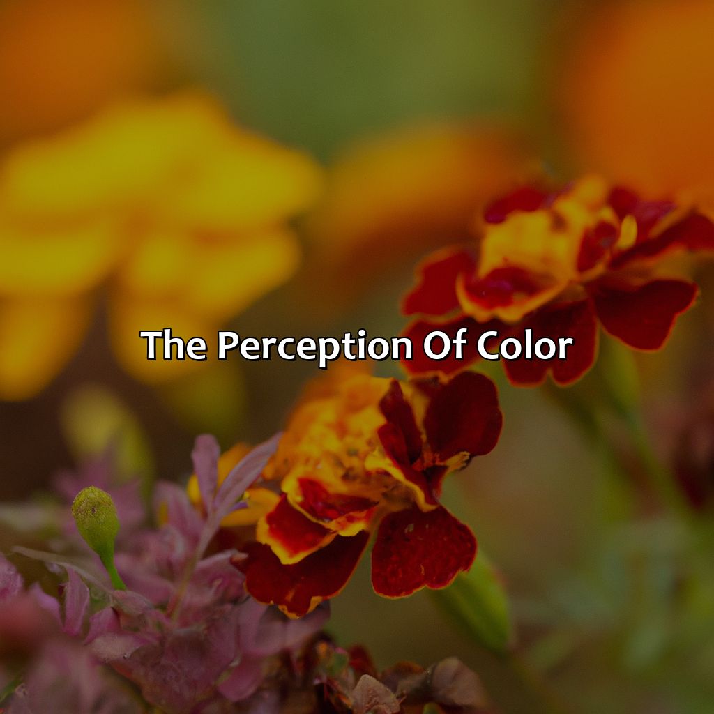 The Perception Of Color  - What Property Is Color, 