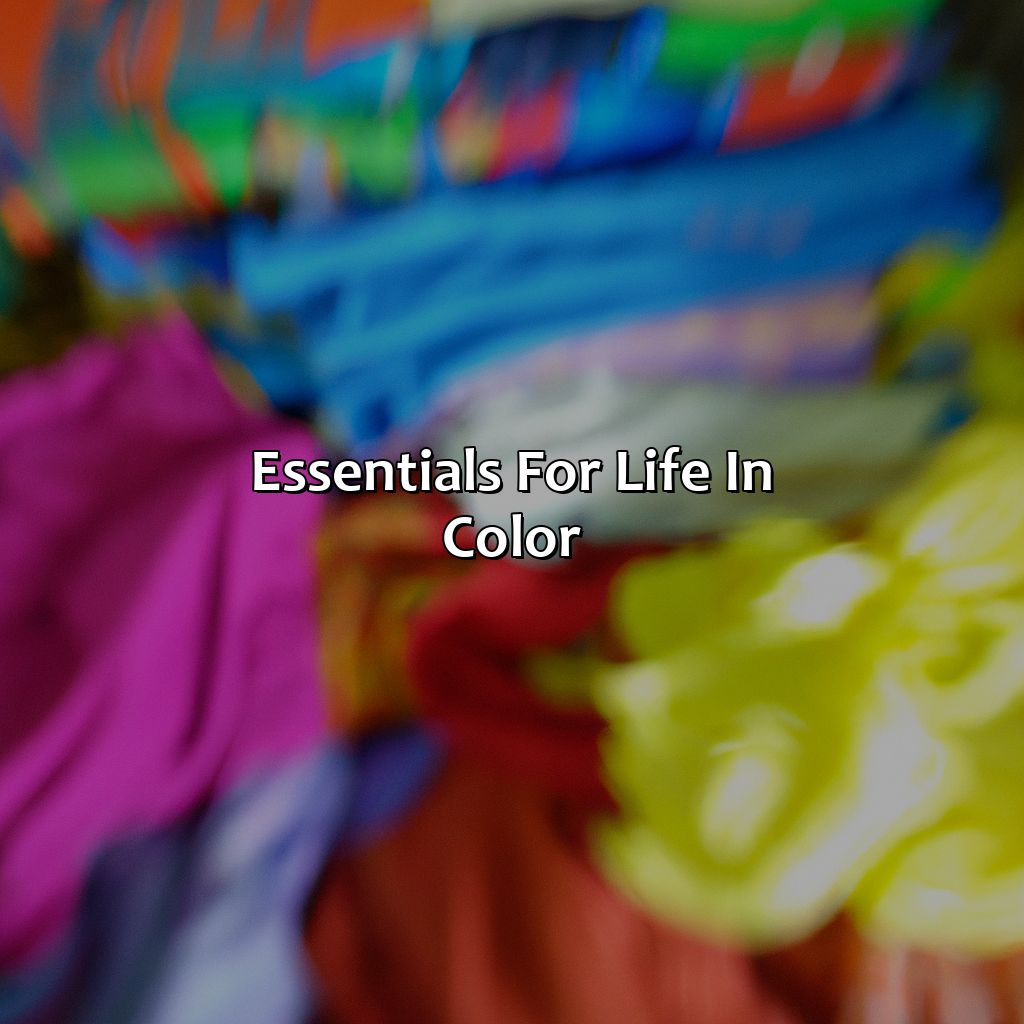Essentials For Life In Color  - What To Wear To Life In Color, 