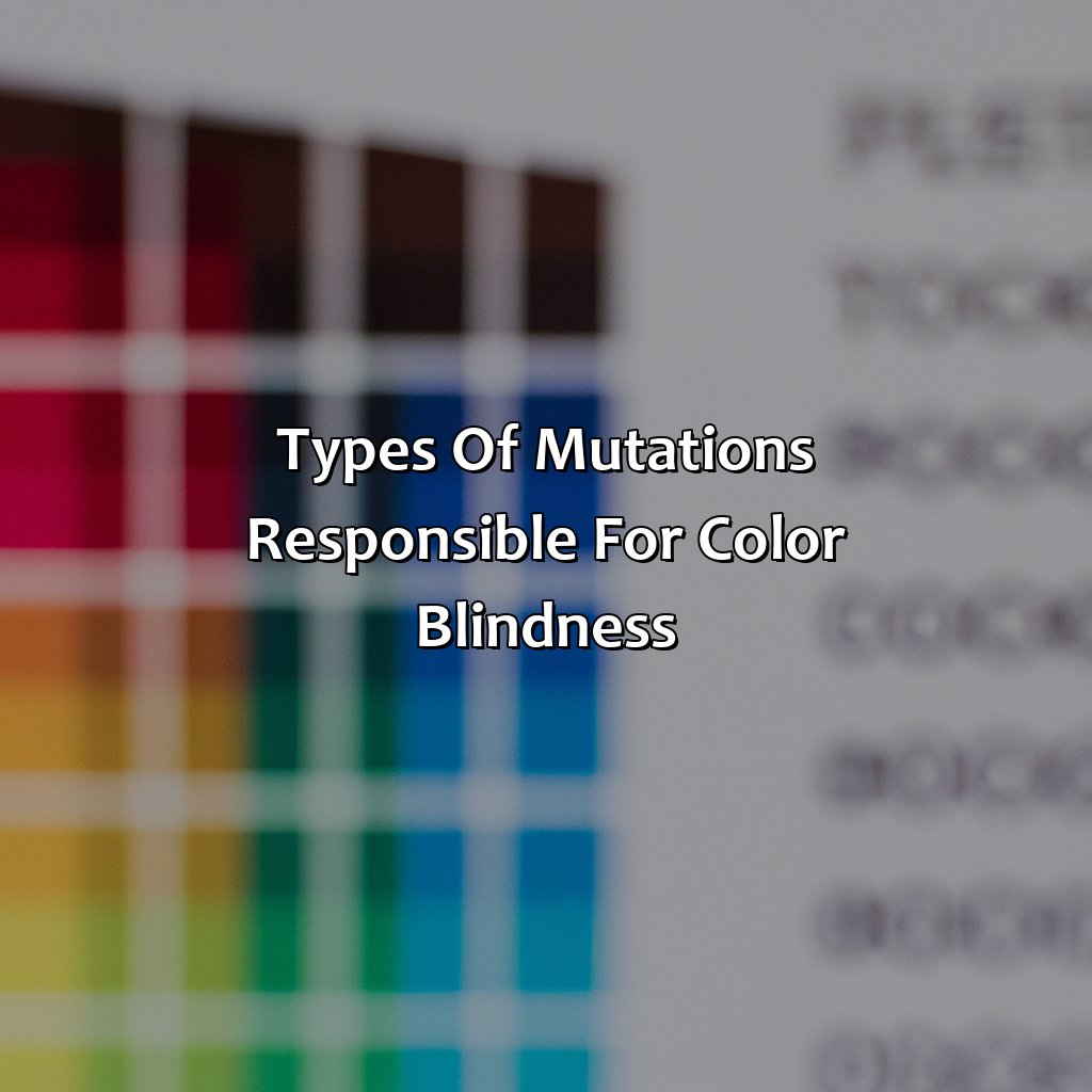 Types Of Mutations Responsible For Color Blindness  - What Type Of Mutation Is Color Blindness, 