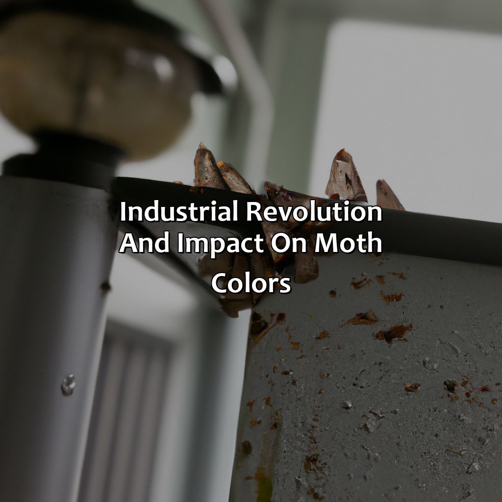 Industrial Revolution And Impact On Moth Colors  - What Was Causing The Change In The Color Of The Moths, 