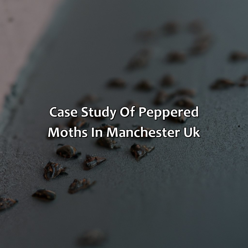 Case Study Of Peppered Moths In Manchester, Uk  - What Was Causing The Change In The Color Of The Moths?, 