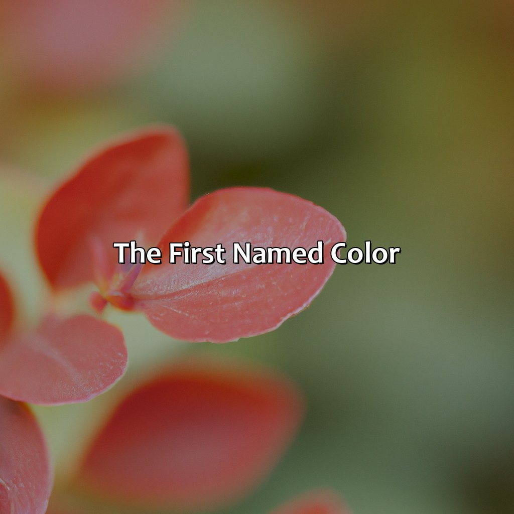The First Named Color  - What Was The First Color, 