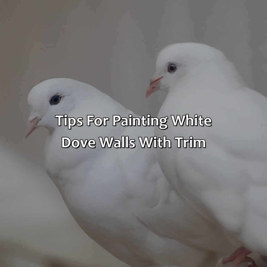 Tips For Painting White Dove Walls With Trim  - White Dove Walls What Color Trim, 