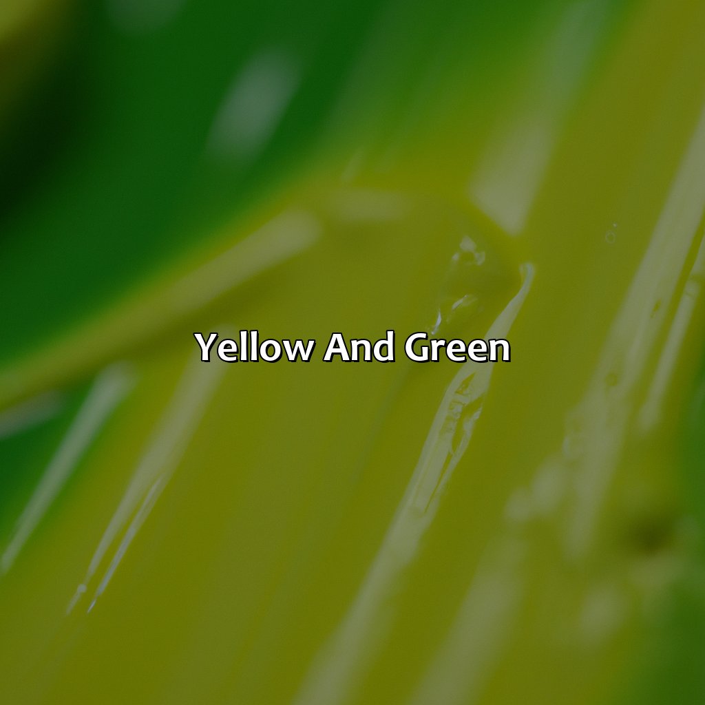 Yellow And Green  - Yellow And Green Make What Color, 