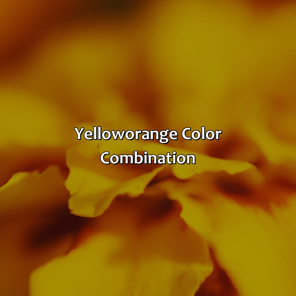 Yellow-Orange Color Combination  - Yellow And Orange Is What Color, 